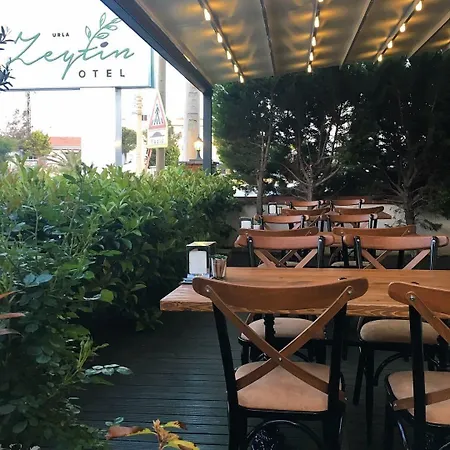 Hotel Zeytin 3*